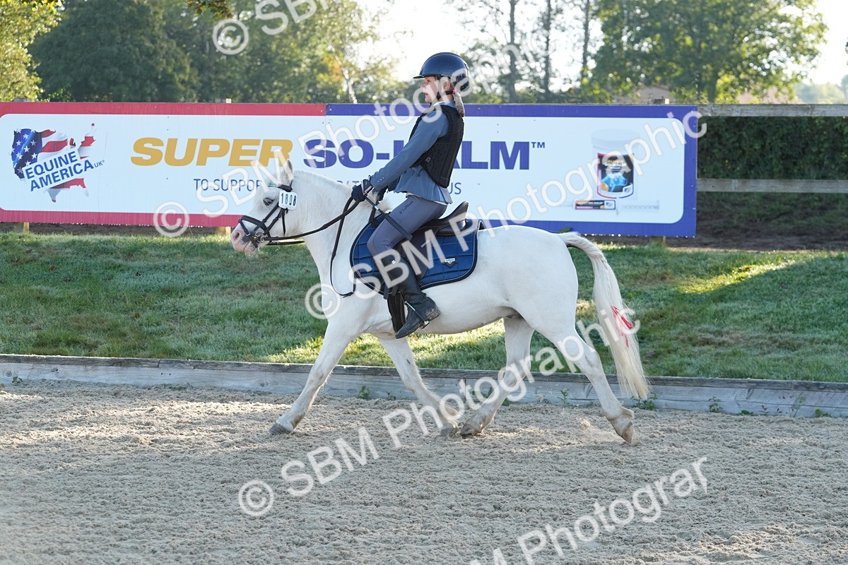 SBM_34382 - J62 - Clear Round 50cm