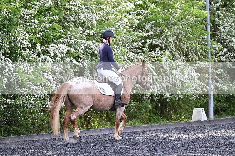 WJ7_8060 - Time 10:11 to 10:27