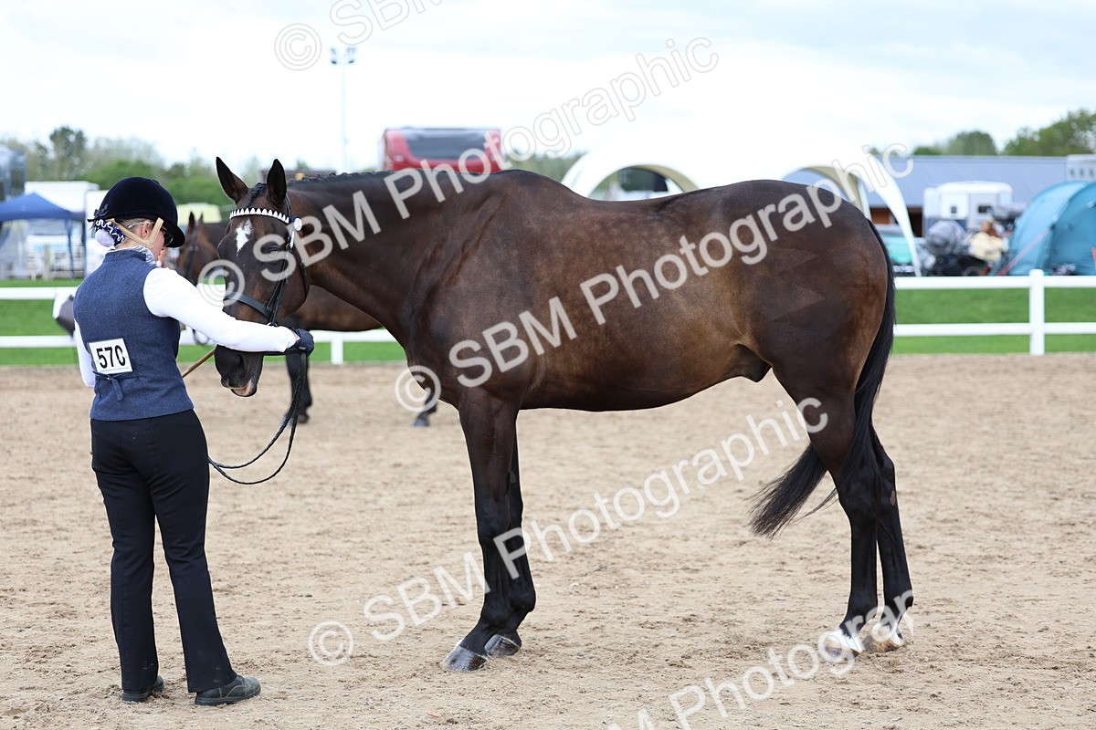 SBM_05732 - Class 28 - IH Veteran Horse
