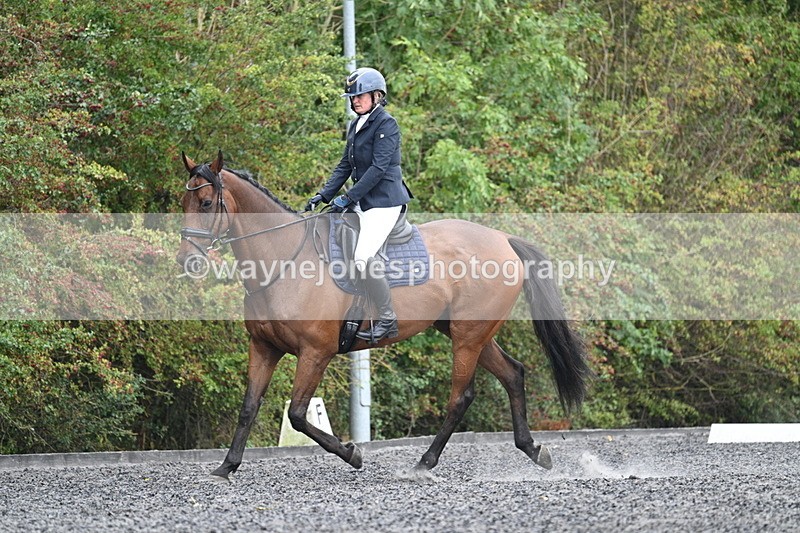 WJ7_4619 - Time 12:12 to 12:30