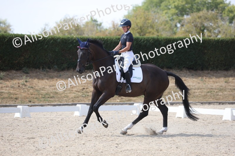 20260815-0960 - Class 5 - Novice 1