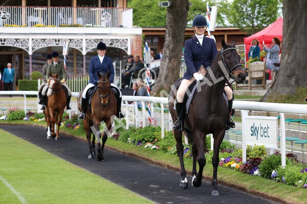 yr22052022r8e-50 - ROR - Parade Ring York