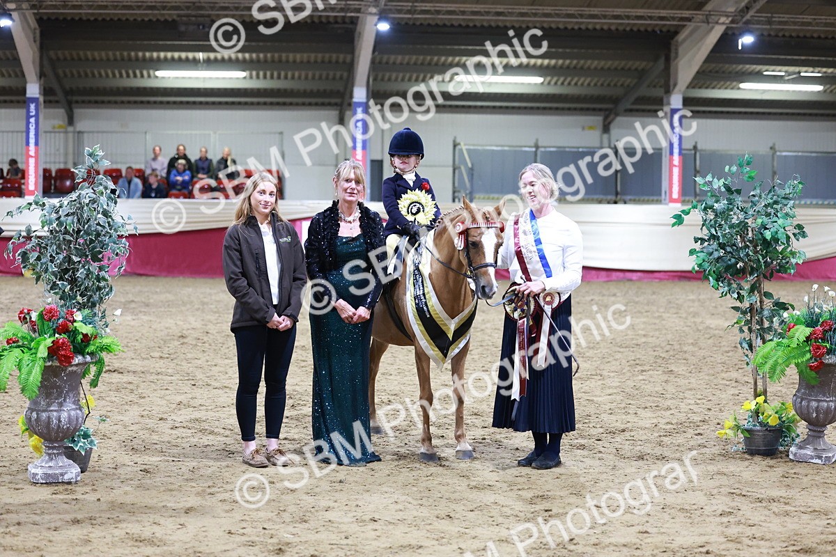 SBM_20587 - Class H - IH Competition - Riding Club champ