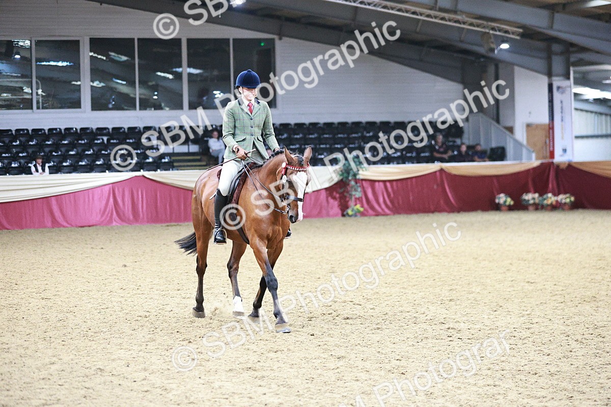 SBM_03524 - Class 6A Area Ridden Pre-Vet