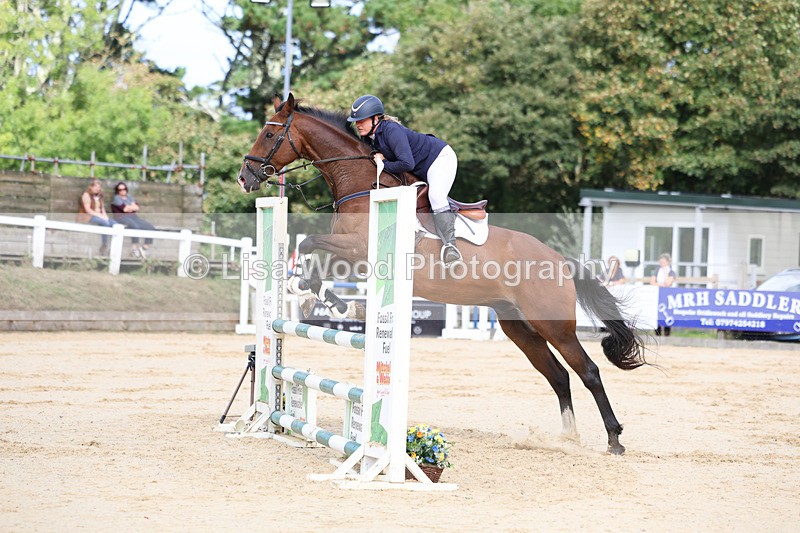 3E7A2140 - Class 4: Senior British Novice/90cm open
