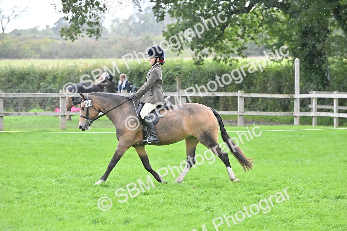 SBM_42940 - S12 - Family Horse & Pony
