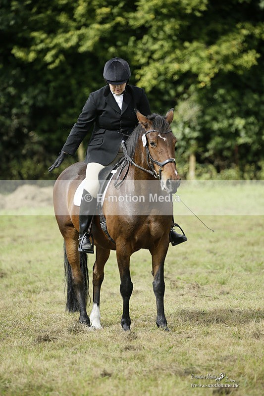 BVRC 120921 438 - Bourne Valley Riding Club UA Dressage & Show Jumping 12/09/21