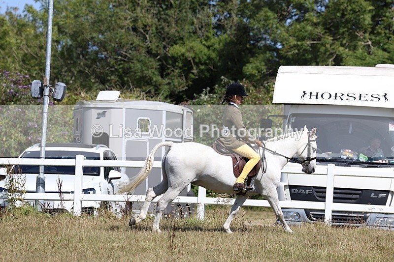 3E7A6357 - Working Hunter Championship