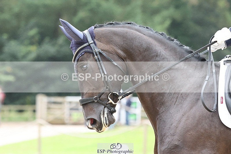 240810-112258-02870 - 130-Hannah.Biggs-St.Giles.Fortune.Cookie