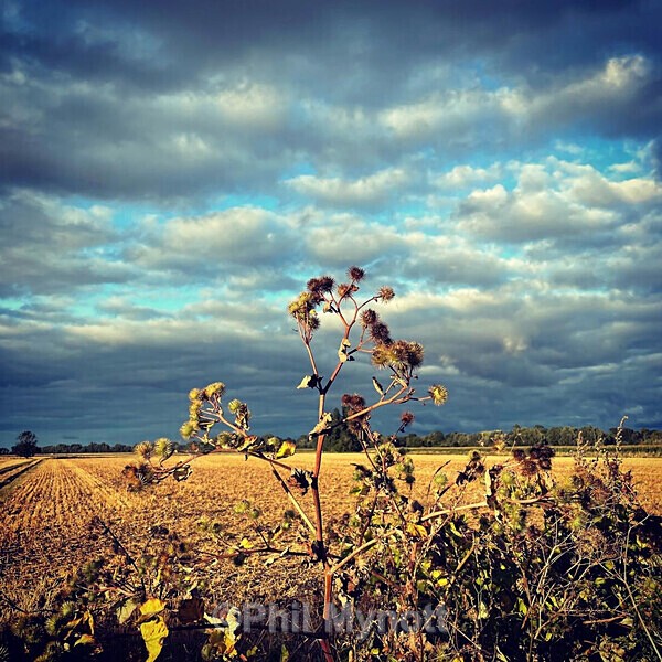 PhotoMynottART057 - Photo Mynott ART Images