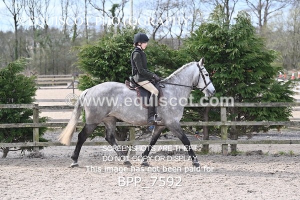BPP_7592 - RING 1  (RIDDEN HORSES / IN HAND / VETERAN ETC)