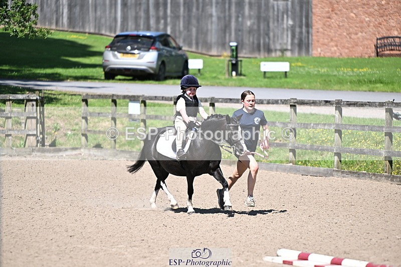 240729B-112938-02397 - Showjumping Competition