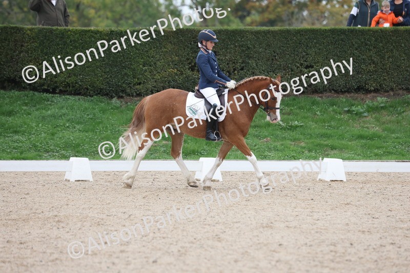 20251011-0399 - Class 4 - Novice 2