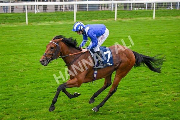 101025-Race 3-Mukhtalif-6440 - Race 3 William Hill Each Way Extra Handicap at York