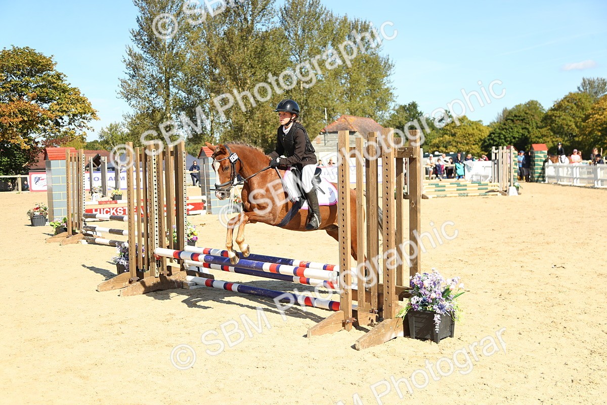 SBM_39341 - J6 - Junior Pony 55cm Championships