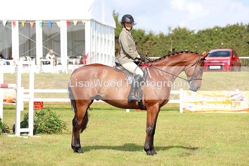 3E7A9174 - Class 3: Rising Star S/L Hunter