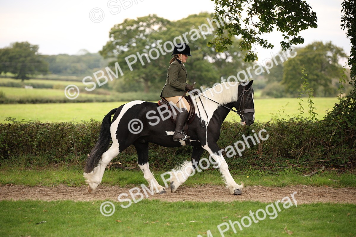 SBM_73421 - S68 - Traditional Cob Ridden
