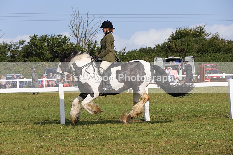 1X9A3368 - Class 28: Ridden Native/Trad Coloured Pony