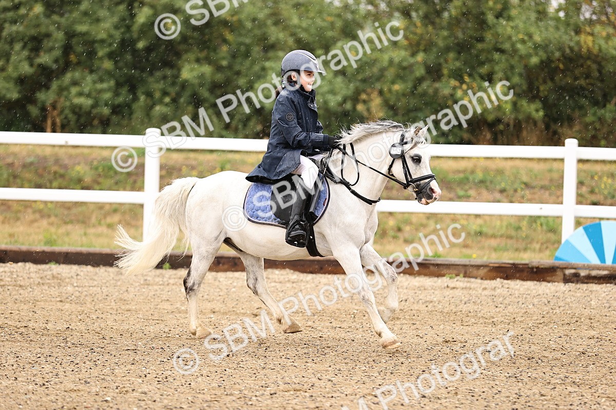 SBM_000038 - Class 1 - 40cm