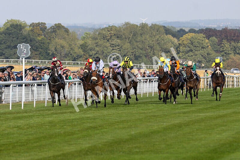 310824-Race 7-Zapphire-2126 - Race 7