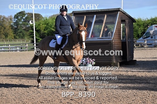 BPP_8390 - LONG ARENA