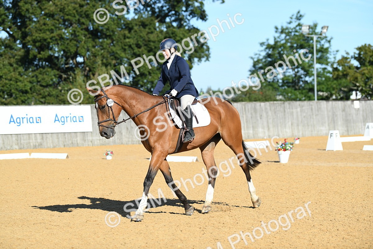 SBM_16219 - D4 - Small Tour Championship - Intro B