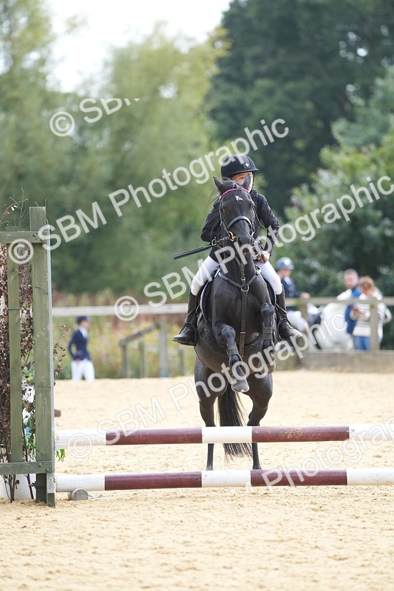 SBM_74711 - J4 - Mini Tour Junior Pony 45cm Championship