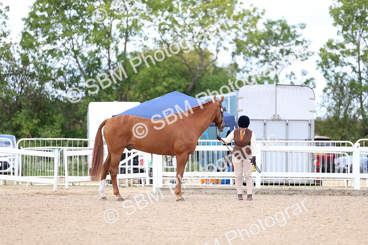SBM_15357 - Class 312 - IH Competition Horse-Pony