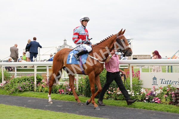 yr24072021r5-34 - Race 5 4.25pm Sky Bet Best Odds Guaranteed Stakes