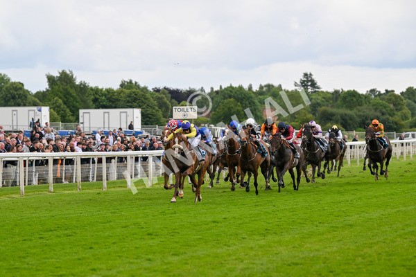140624-Race 5-Ron O-4823 - Race 5 4.10pm Juddmonte EBF Fillies Restricted Novice Stakes