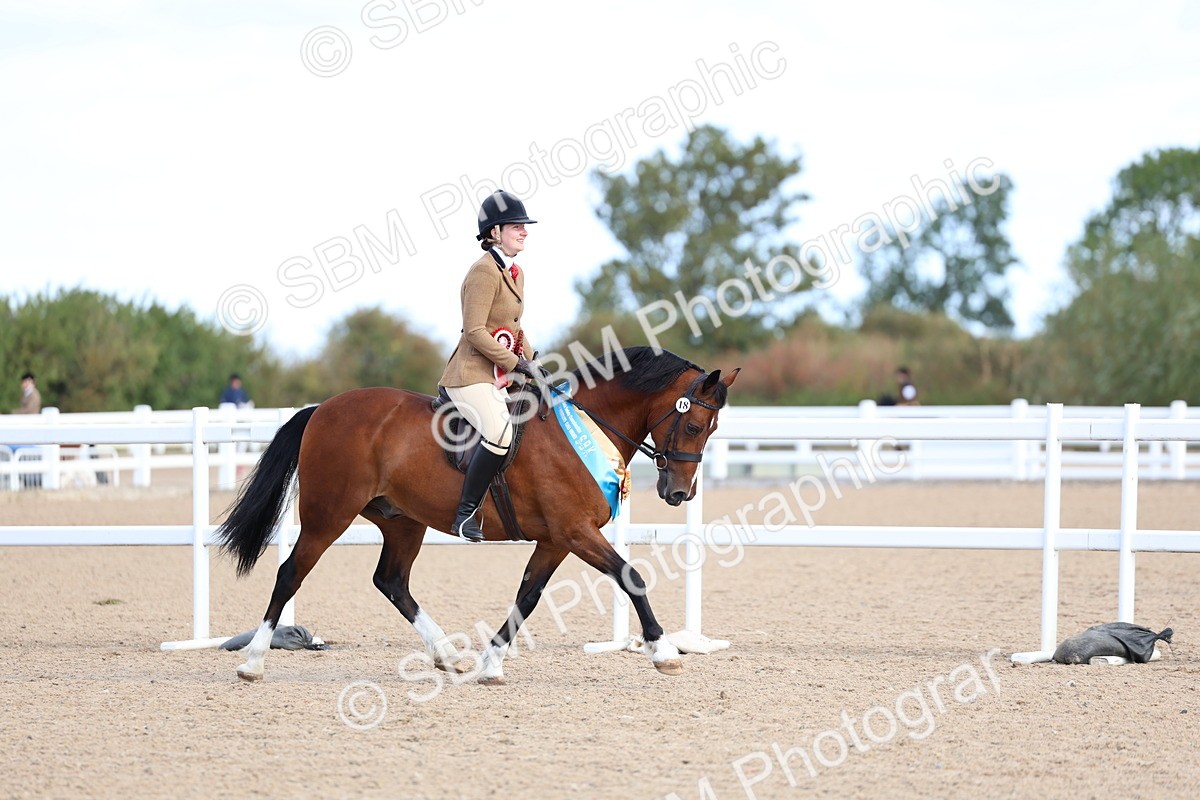 SBM_08982 - Class 302 - Ridden M&M - Large Breeds