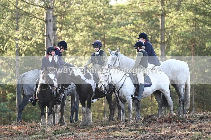 WJ7_7559 - Line 3 (no line 4 or 5)