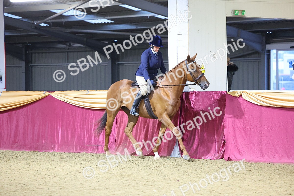 0B8A4274 - Class 108Ridden Retired Racehorse- Final Judging