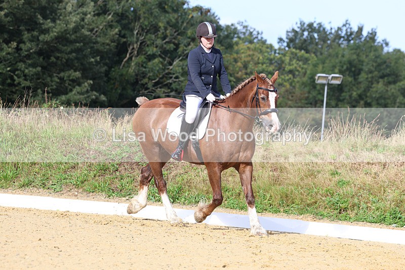 3E7A2235 - Class 1: Intro 4 2024 section A