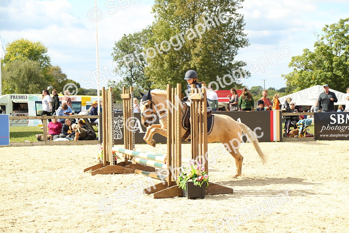 SBM_41492 - J6 - Junior Pony 55cm Championships