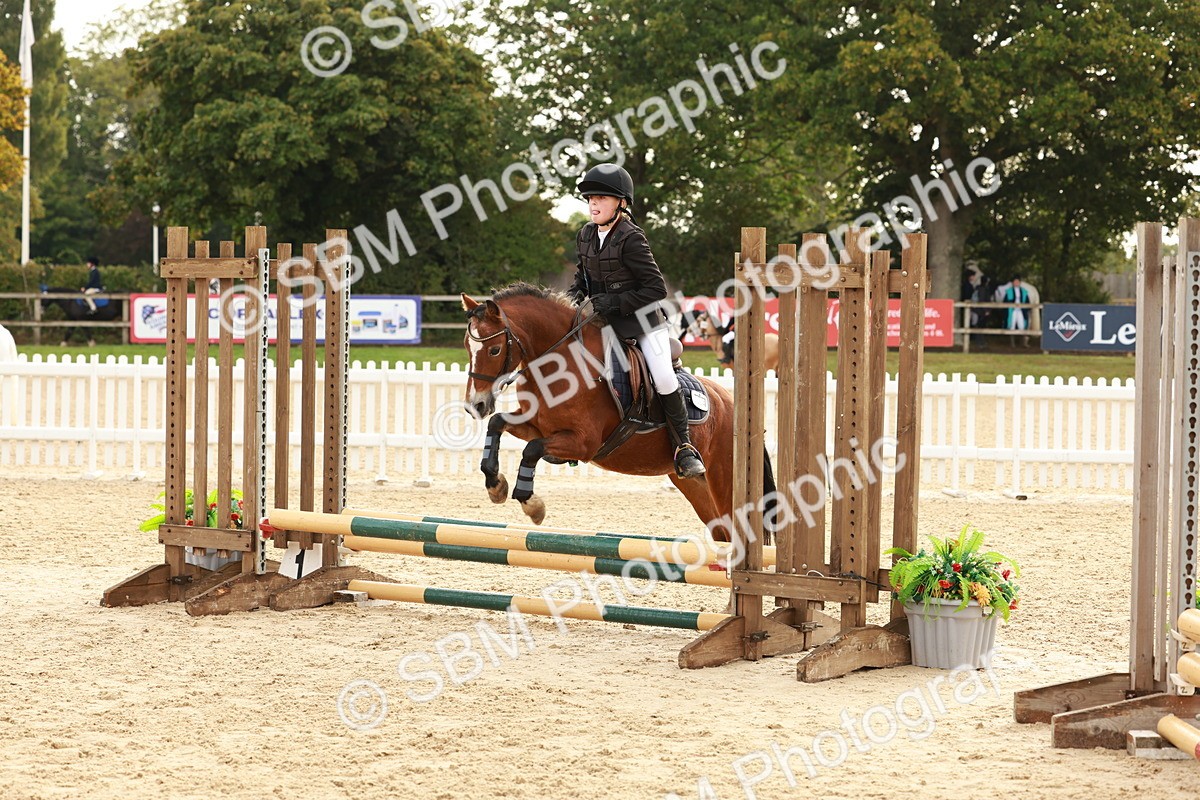 SBM_55748 - J11 - Junior Pony 50cm Championship