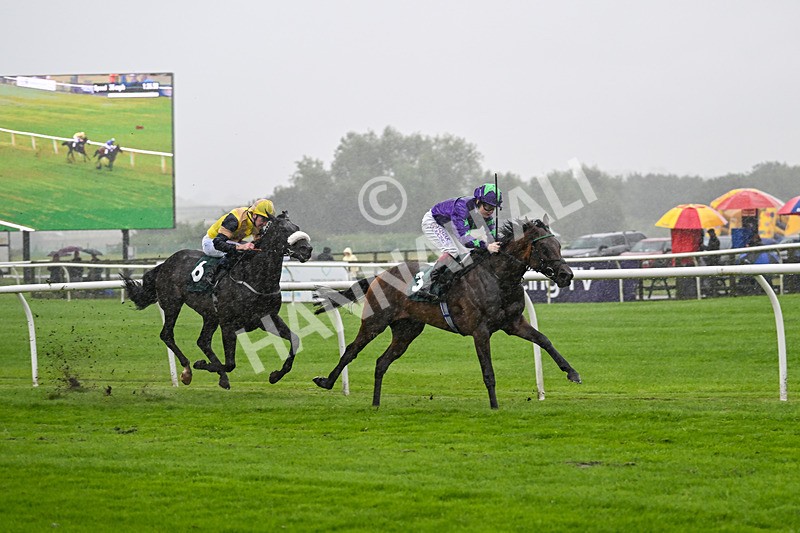 230725-Race 2-Magic Box-9892 - Race 2