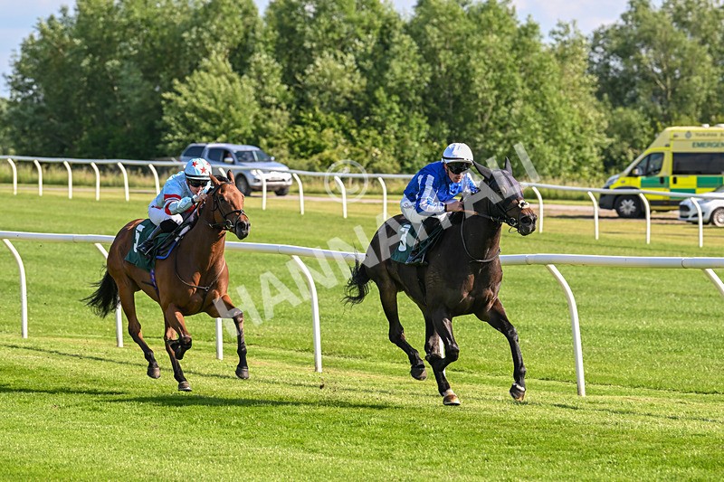 100625-Race 1-Desert Jungle-6362 - Race 1