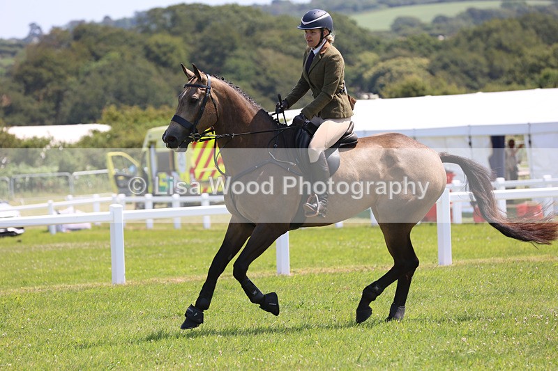 JPP_3127 - Class 22: Working Hunter 70cm