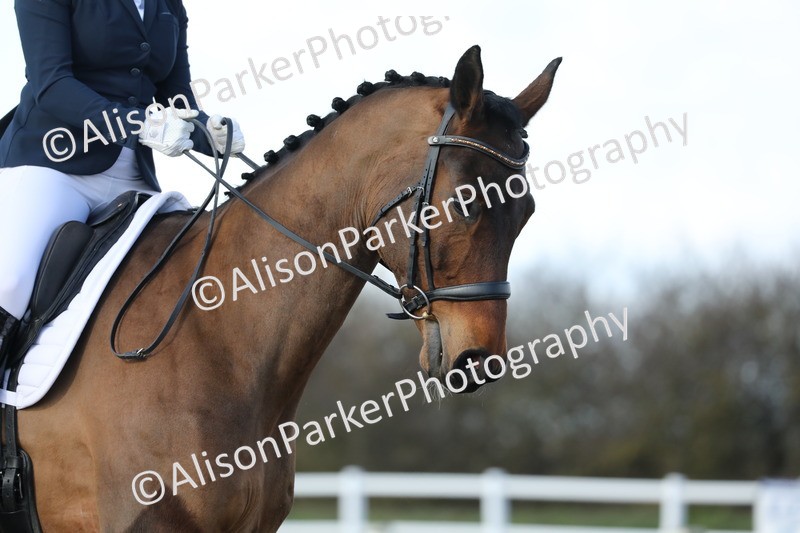 20260314-4919 - CT6 - Elementary 1