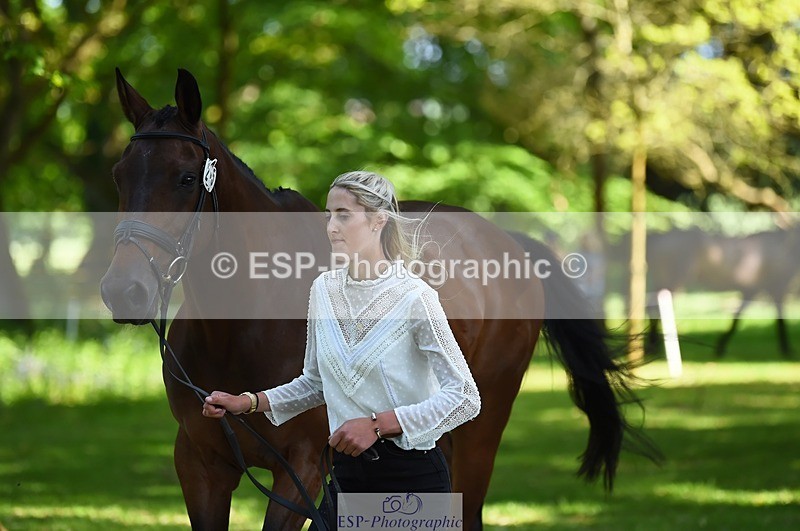 230524-155754-00586 - 205-ARTICUS-Maja_Hullah-WEDTrotUp+DR