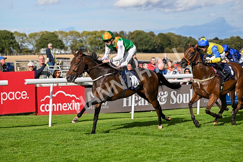 170925-Race 5-Hashtagnotions-5422 - Race 5