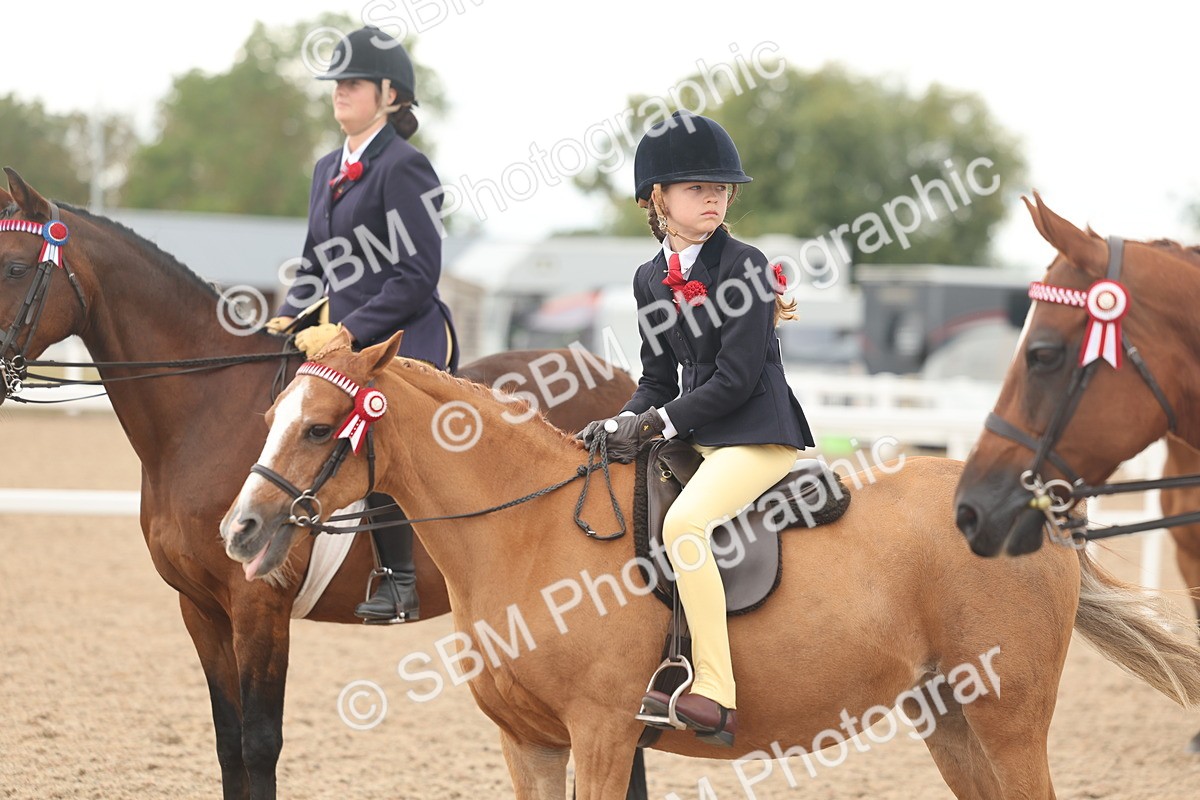 SBM_16057 - Class 311 - Ridden Show pony-Show hunter Pony