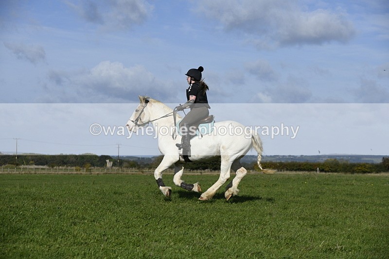 _DSC5412 - Time 10:49 to 11:23