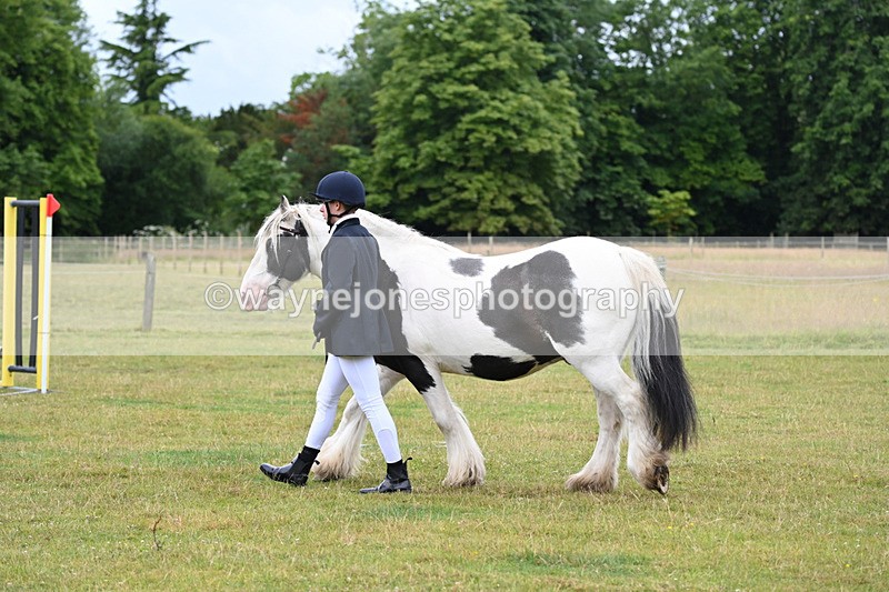 WJ6_8769 - Class 10 Coloured in-hand
