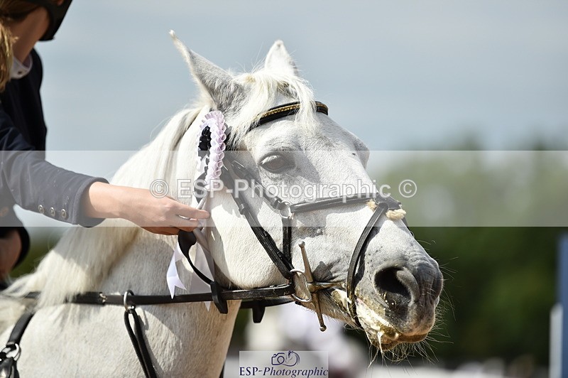 230903A-142712-05083 - Cls 20 Pony Newcomers & 1m Open