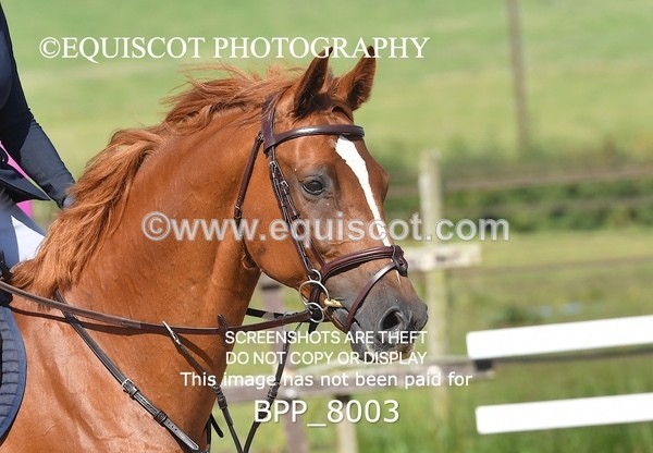 BPP_8003 - CLASS 4 Senior Discovery/ 1m Open