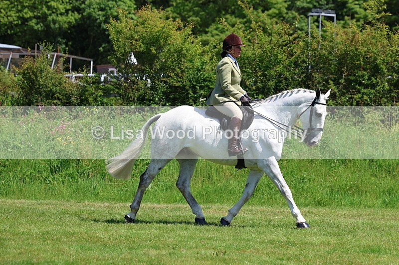 3E7A8199 - Class 13: Ridden Hunter