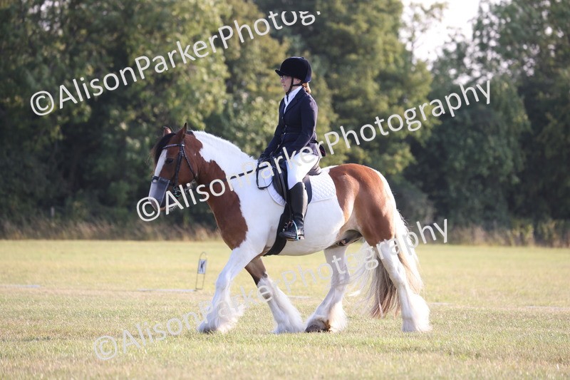 20250731-0812 - Class 1 - Intro 4