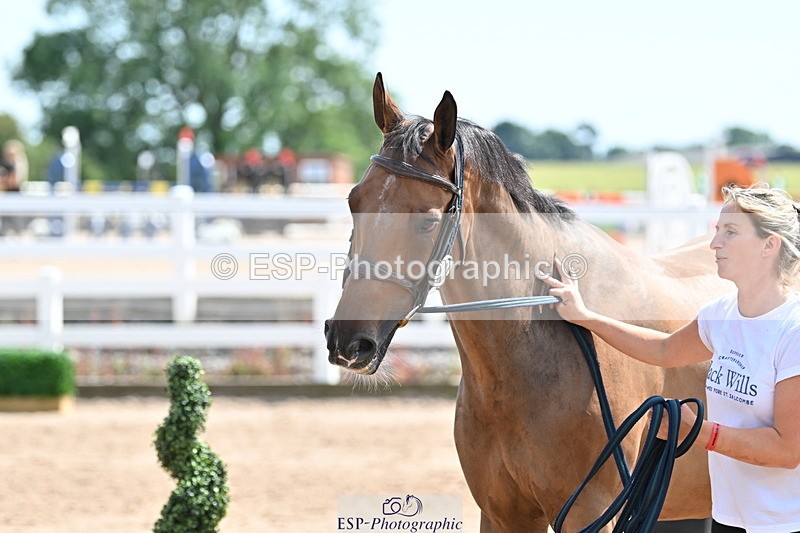 240717A-150454-02522 - Trot Up 3pm to 4pm